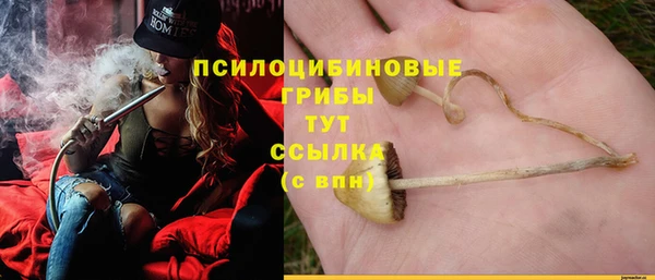 крисы Алексеевка