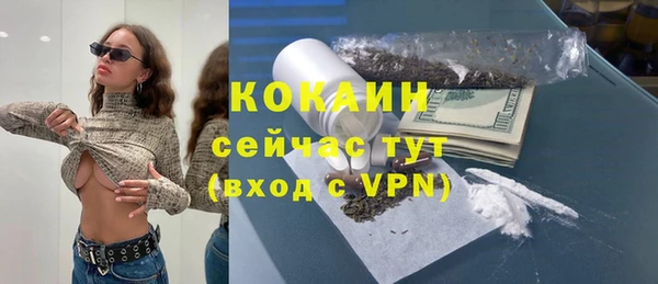 дживик Абинск