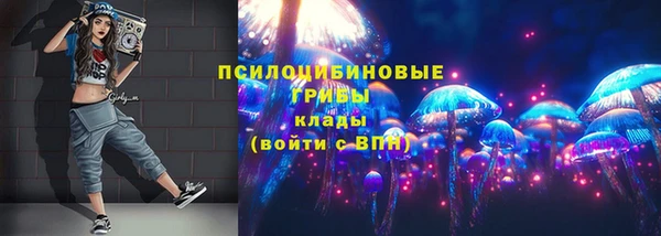 крисы Алексеевка