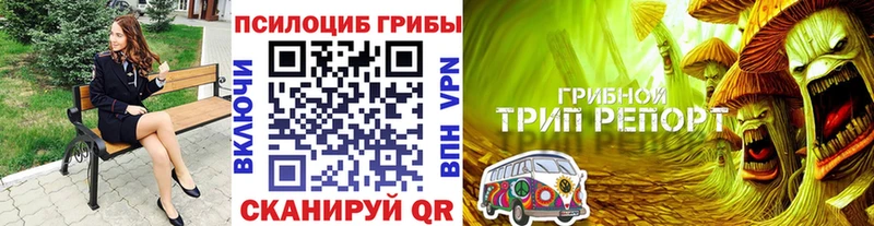 Псилоцибиновые грибы прущие грибы Сокол
