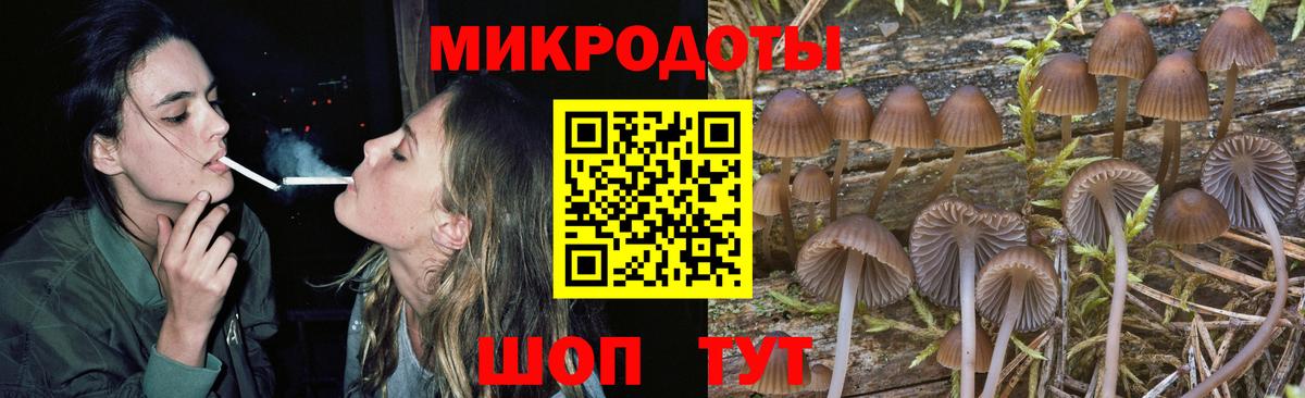 Сокол  Псилоцибиновые грибы Psilocybine cubensis  Вход с VPN  Галлюциногенные грибы MAGIC MUSHROOMS 