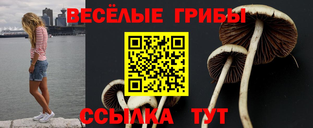 Псилоцибиновые грибы MAGIC MUSHROOMS Сокол
