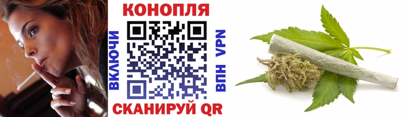 Бошки Шишки SATIVA & INDICA закладки Сокол